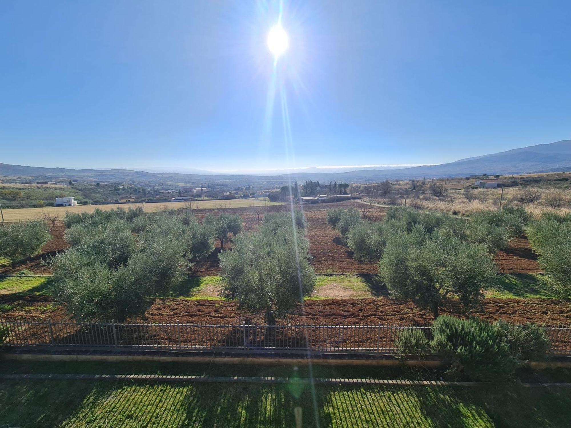 Frascineto B&B La Petrosa المظهر الخارجي الصورة